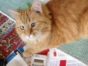 Rudy likes to play with beads too